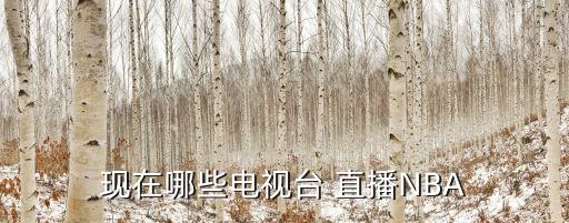 現(xiàn)在哪些電視臺 直播NBA