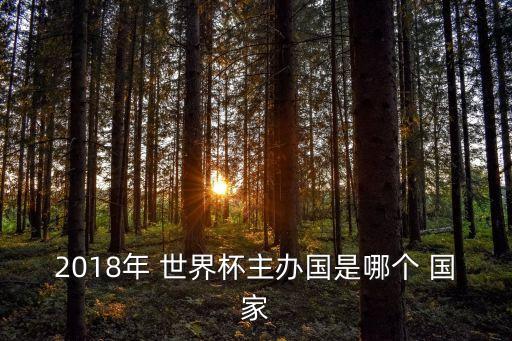 2018年 世界杯主辦國是哪個(gè) 國家