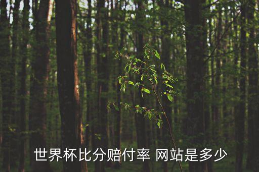  世界杯比分賠付率 網站是多少