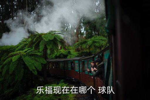  樂?，F(xiàn)在在哪個 球隊