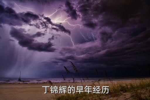 丁錦輝去哪個隊了,我國籃球小將丁錦輝來了!
