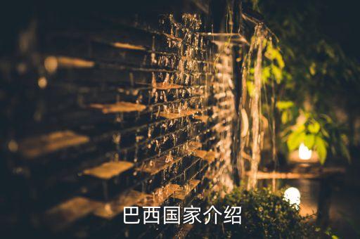  巴西國(guó)家介紹