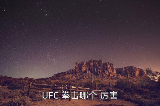 UFC 拳擊哪個 厲害