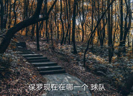  保羅現(xiàn)在在哪一個(gè) 球隊(duì)