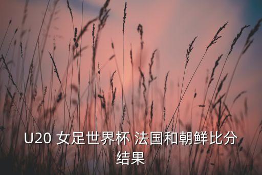 U20 女足世界杯 法國和朝鮮比分結果