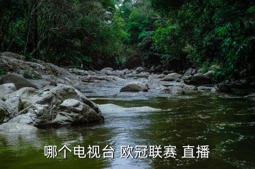 哪個(gè)電視臺 歐冠聯(lián)賽 直播