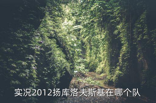 實(shí)況2012揚(yáng)庫洛夫斯基在哪個隊(duì)