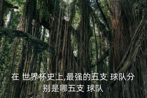 在 世界杯史上,最強(qiáng)的五支 球隊(duì)分別是哪五支 球隊(duì)