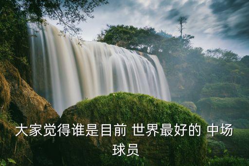 世界最優(yōu)秀的中場是哪個球員,足壇消息:齊祖被稱為藝術大師