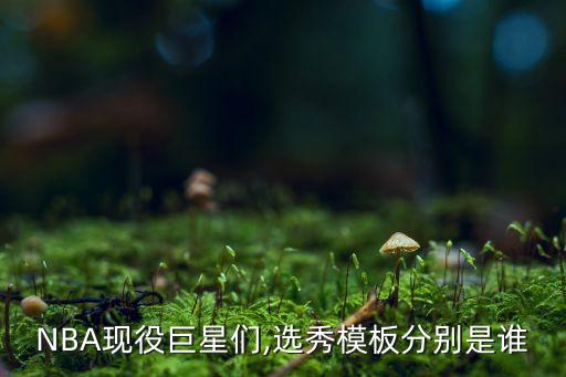 哪個(gè)球員模版是喬丹,科比是喬丹、卡特和博士丹尼斯
