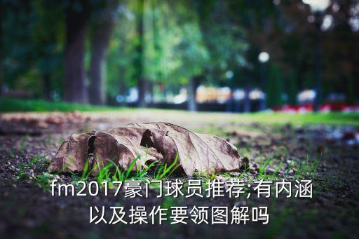  fm2017豪門(mén)球員推薦;有內(nèi)涵以及操作要領(lǐng)圖解嗎