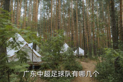 延邊富德隊(duì)在哪個(gè)城市,我國足球俱樂部降級(jí)后表現(xiàn)亮眼成績優(yōu)異