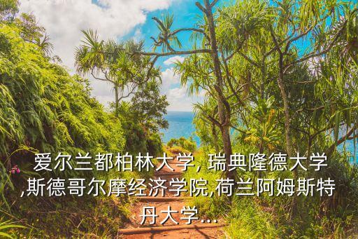  愛爾蘭都柏林大學(xué), 瑞典隆德大學(xué),斯德哥爾摩經(jīng)濟(jì)學(xué)院,荷蘭阿姆斯特丹大學(xué)...