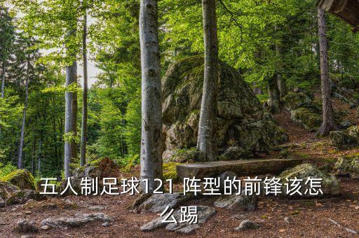 五人制哪個陣型好一點,兩種選擇包括一種是戰(zhàn)斗型中場陣容