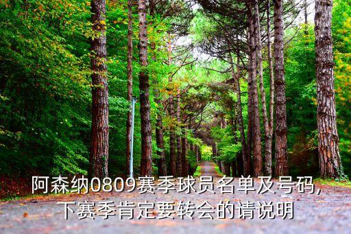 阿森納0809賽季球員名單及號碼,下賽季肯定要轉會的請說明