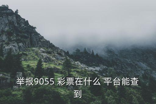 哪個彩票平臺,9055彩票官網查詢最新開獎結果等信息