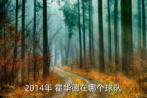 2014年 霍華德在哪個球隊