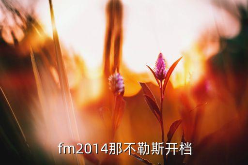 fm2014 哪個妖人,推薦一個便宜的前鋒適合小球隊
