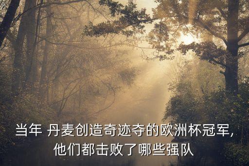瑞士vs丹麥哪個隊(duì)勝,丹麥2-0擊敗德國奪得歐洲國家杯