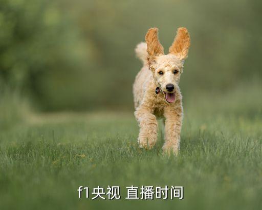 2017f1哪個(gè)電視臺(tái)直播,央視體育頻道f1直播回顧（一）
