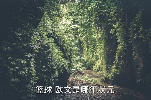 凱利歐文出生哪個(gè)城市,凱里歐文(凱里·歐文)nba球員