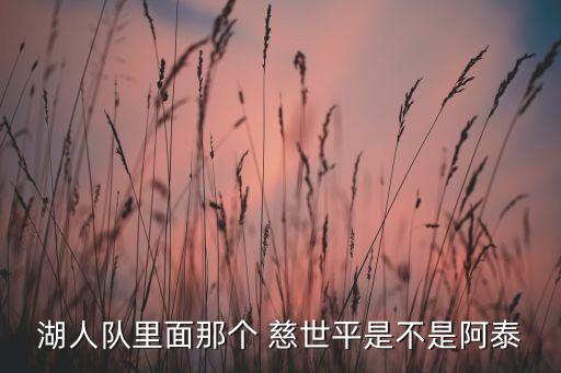 湖人隊里面那個 慈世平是不是阿泰