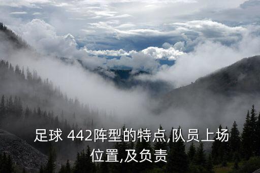  足球 442陣型的特點(diǎn),隊(duì)員上場位置,及負(fù)責(zé)