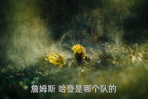 哈登是哪個(gè)隊(duì)的,nba球員