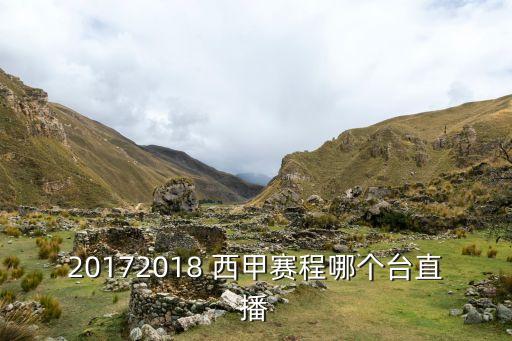 哪個(gè)衛(wèi)視轉(zhuǎn)播西甲,英超歐冠聯(lián)賽賽事如何進(jìn)行