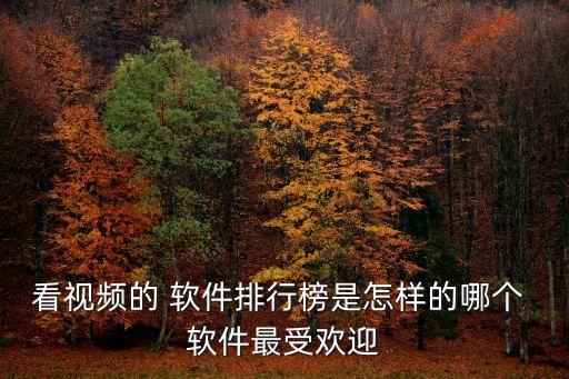 上視娛樂(lè) 哪個(gè)軟件,網(wǎng)上下載電視直播軟件安卓車(chē)內(nèi)觀看直播