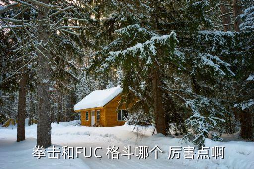  拳擊和FUC 格斗哪個 厲害點啊