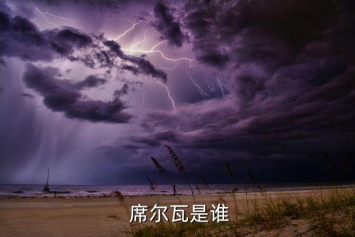 蒂亞戈席爾瓦在哪個(gè)俱樂(lè)部,烏拉圭前鋒席爾瓦加盟尤文圖斯隊(duì)