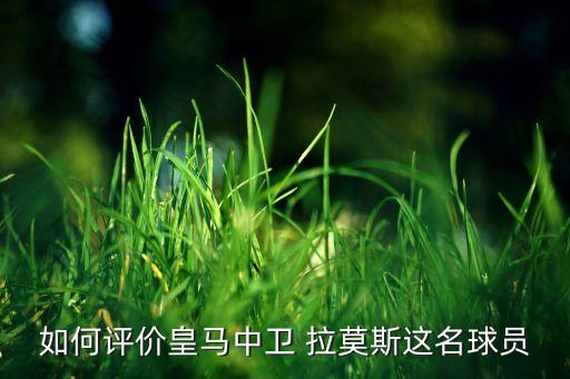如何評價(jià)皇馬中衛(wèi) 拉莫斯這名球員