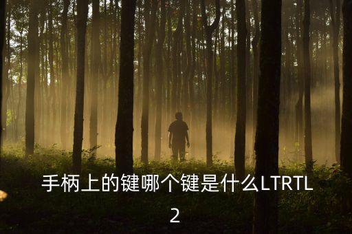  手柄上的鍵哪個鍵是什么LTRTL2