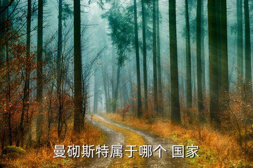 曼徹斯特在哪個(gè)國(guó)家,曼徹斯特聯(lián)隊(duì)和曼城隊(duì)是英超頂級(jí)豪門球隊(duì)