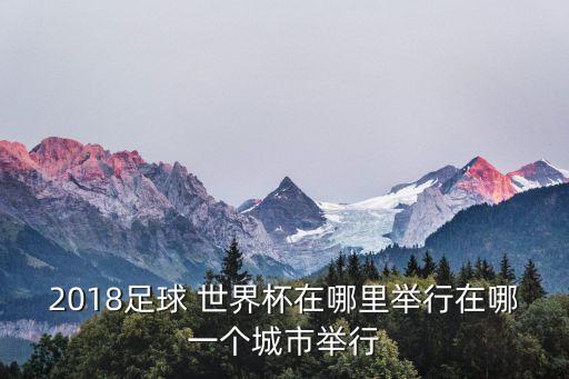 2018足球 世界杯在哪里舉行在哪一個(gè)城市舉行