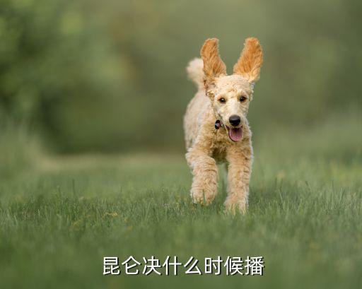  昆侖決什么時候播