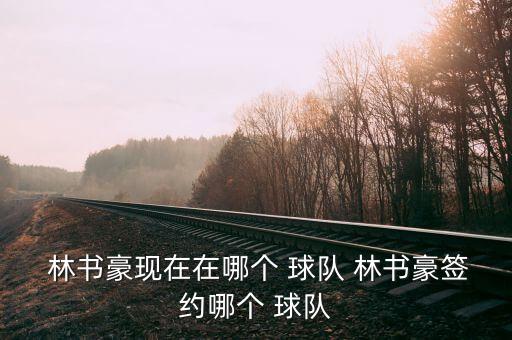  林書豪現(xiàn)在在哪個 球隊 林書豪簽約哪個 球隊