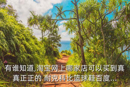 哪個淘寶店耐克的球最正宗,關于耐克的五個知多少】