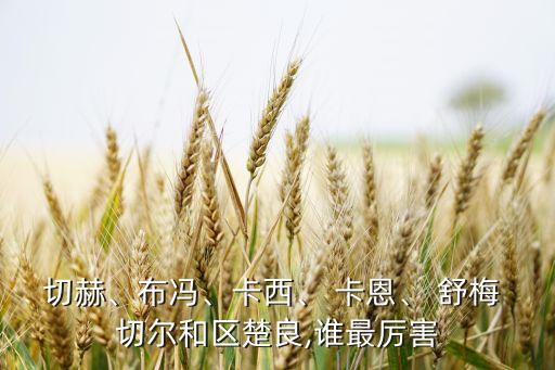 切赫、布馮、卡西、 卡恩、 舒梅 切爾和區(qū)楚良,誰(shuí)最厲害