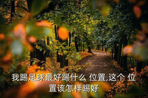 我踢足球最好踢什么 位置,這個 位置該怎樣踢好