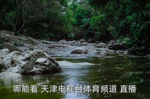 哪能看 天津電視臺體育頻道 直播