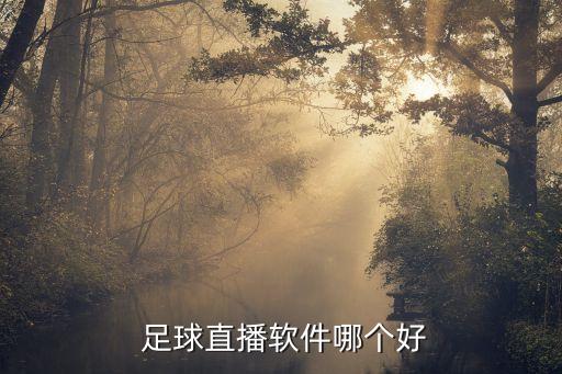 足球比分預(yù)測(cè)網(wǎng)哪個(gè)好,足球魔方有哪些優(yōu)點(diǎn)?