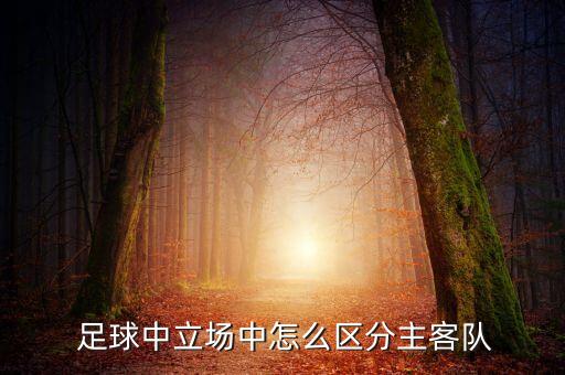 足球中立場(chǎng)中怎么區(qū)分主客隊(duì)
