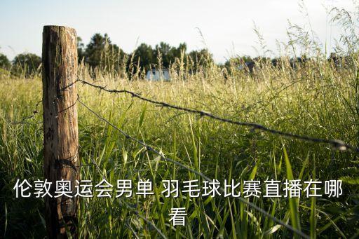 倫敦奧運(yùn)會男單 羽毛球比賽直播在哪看