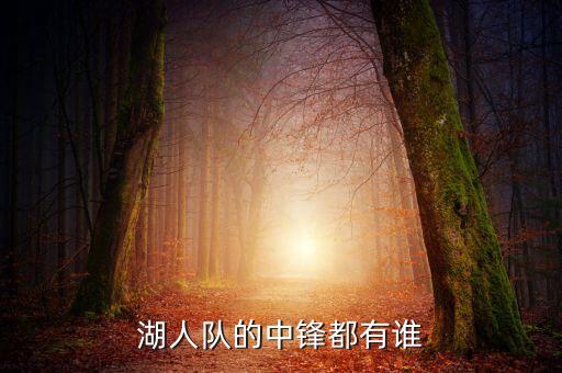 湖人隊(duì)的中鋒都有誰