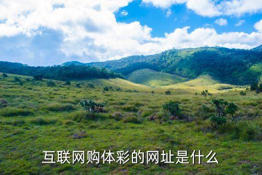 哪個(gè)網(wǎng)站可以在線(xiàn)購(gòu)買(mǎi)彩票,如何購(gòu)買(mǎi)彩票?