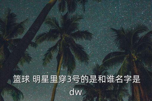  籃球 明星里穿3號(hào)的是和誰名字是dw
