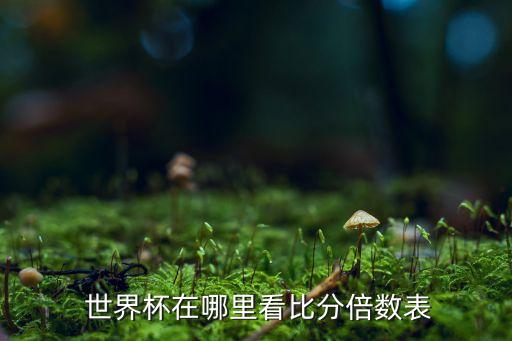  世界杯在哪里看比分倍數表