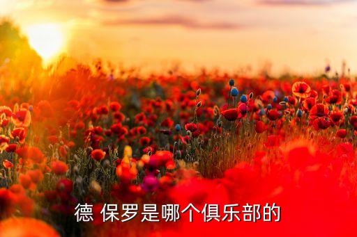 保羅家鄉(xiāng)球隊(duì)是哪個(gè),湖人引進(jìn)保羅盼他再次發(fā)揮帶隊(duì)潛力